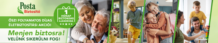 A képen egy idős házaspár, egy kutyával játszó kisgyerek, egy anyuka és kislánya illetve egy jengával játszó család látható