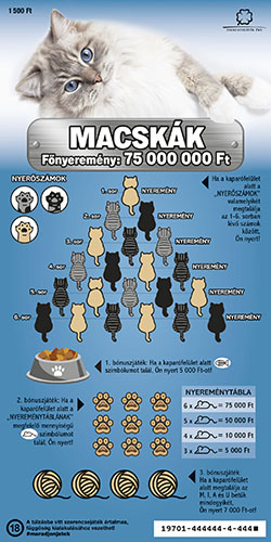 A képen a macskák sorsjegy látható